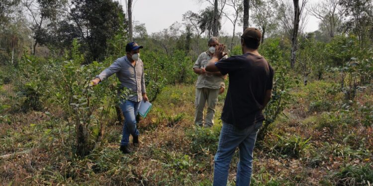 Certificar calidad genera credibilidad en los consumidores