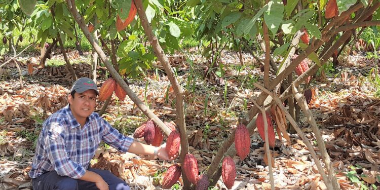 La respiración del suelo