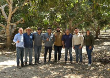 Alianzas que generan productividad