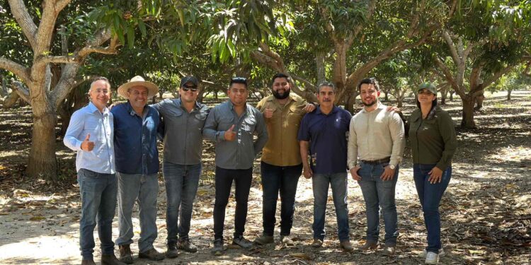 Alianzas que generan productividad