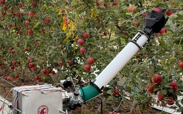 Un robot inflable permite recolectar manzanas