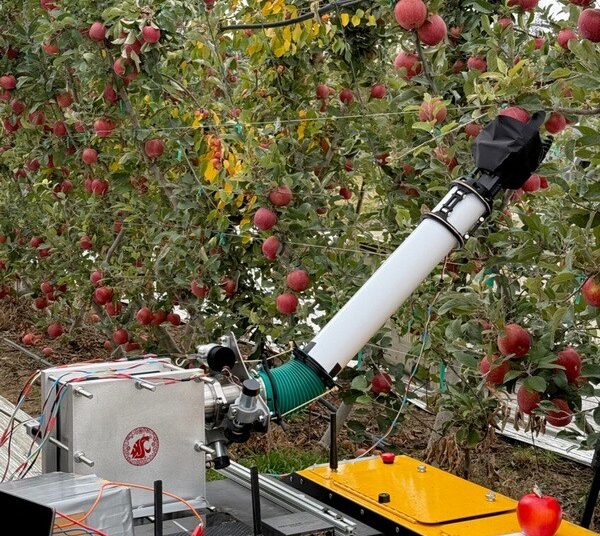 Un robot inflable permite recolectar manzanas