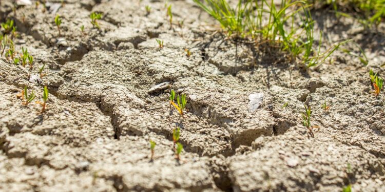 El Planeta, en bancarrota hídrica: ONU