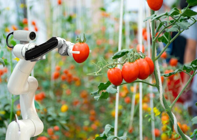 Cinco tendencias para transformar el sector agroalimentario