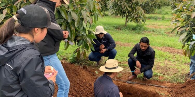ICCA y la AMHPAC firman convenio para actualizar las habilidades de técnicos agrícolas