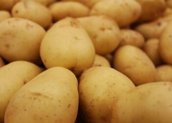 Canadá garantiza a México el acceso a las exportaciones de papa