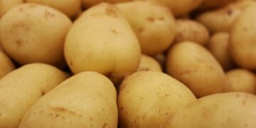 Canadá garantiza a México el acceso a las exportaciones de papa