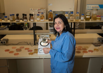 Mariangela Hungria: la rockstar de la microbiología