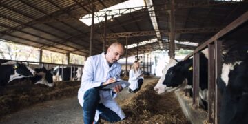 Gusano barrenador en EU pone en alerta máxima a ganaderos