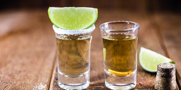 La agroindustria del tequila confía en librar aranceles durante revisión del T-MEC