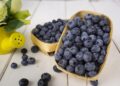 Envases para alimentos frescos: tendencias que transforman la exportación