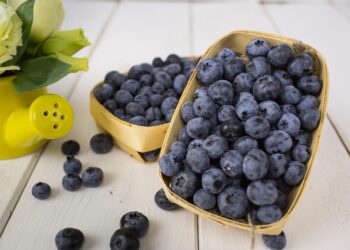 Envases para alimentos frescos: tendencias que transforman la exportación