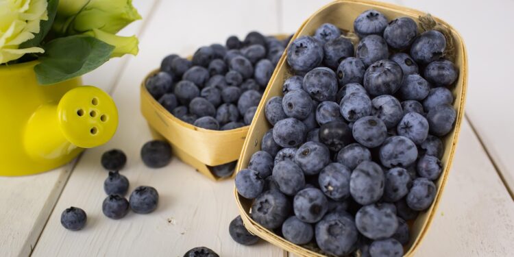 Envases para alimentos frescos: tendencias que transforman la exportación