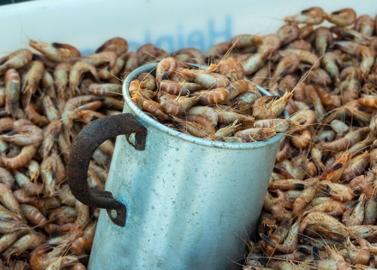 Con residuos de mariscos, empresa universitaria crea bioestimulantes