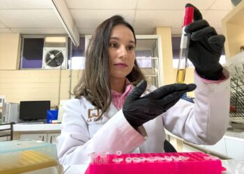 El RNA como arma contra los patógenos