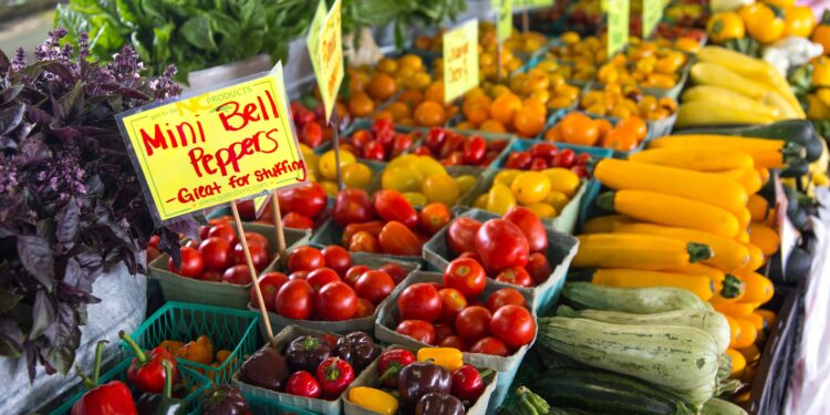 Manejo nutricional del mini bell pepper orgánico bajo invernadero
