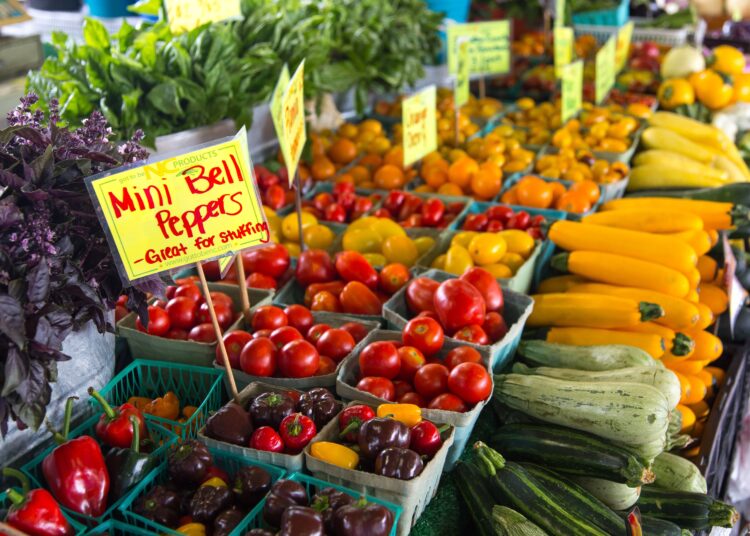 Manejo nutricional del mini bell pepper orgánico bajo invernadero